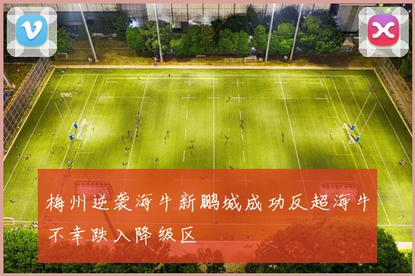 梅州逆袭海牛新鹏城成功反超海牛不幸跌入降级区
